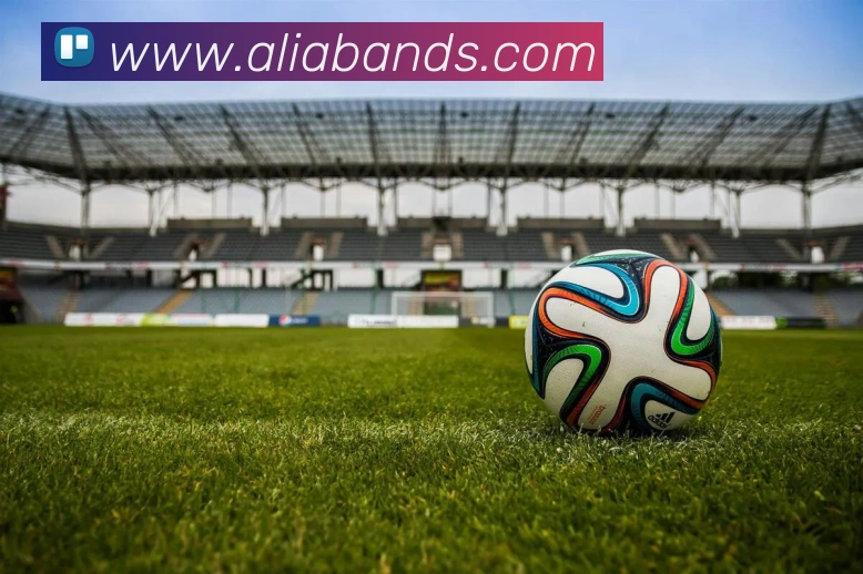 未来规划